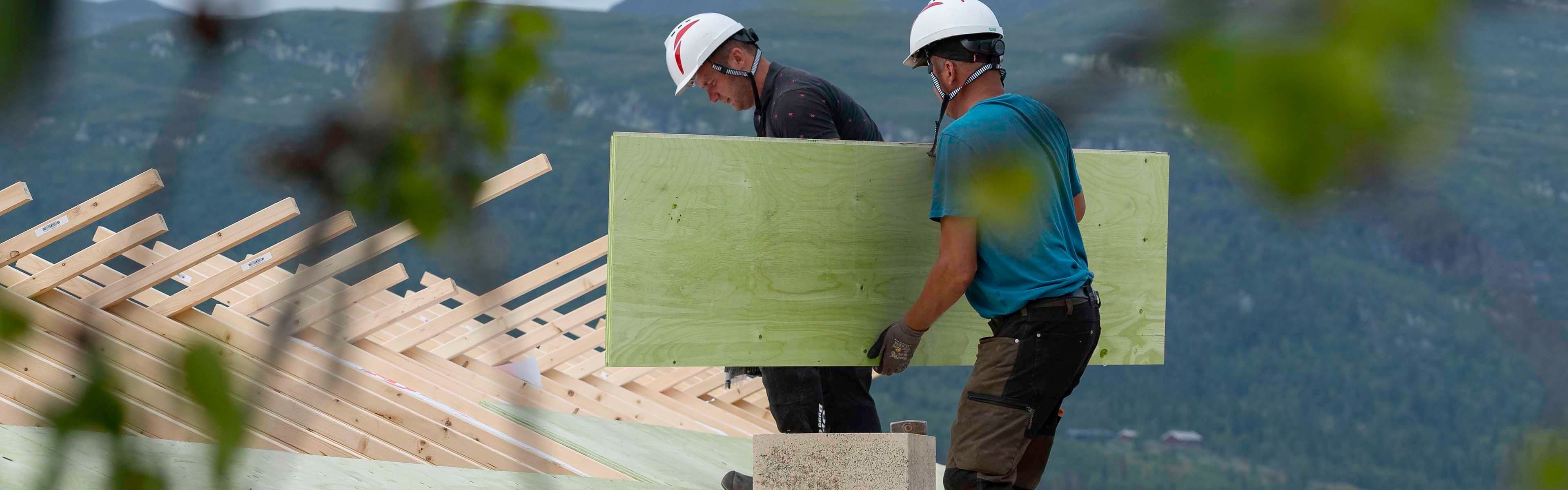 To håndverkere som går på undertak av konstruksfiner, den ene bærer en finerplate.